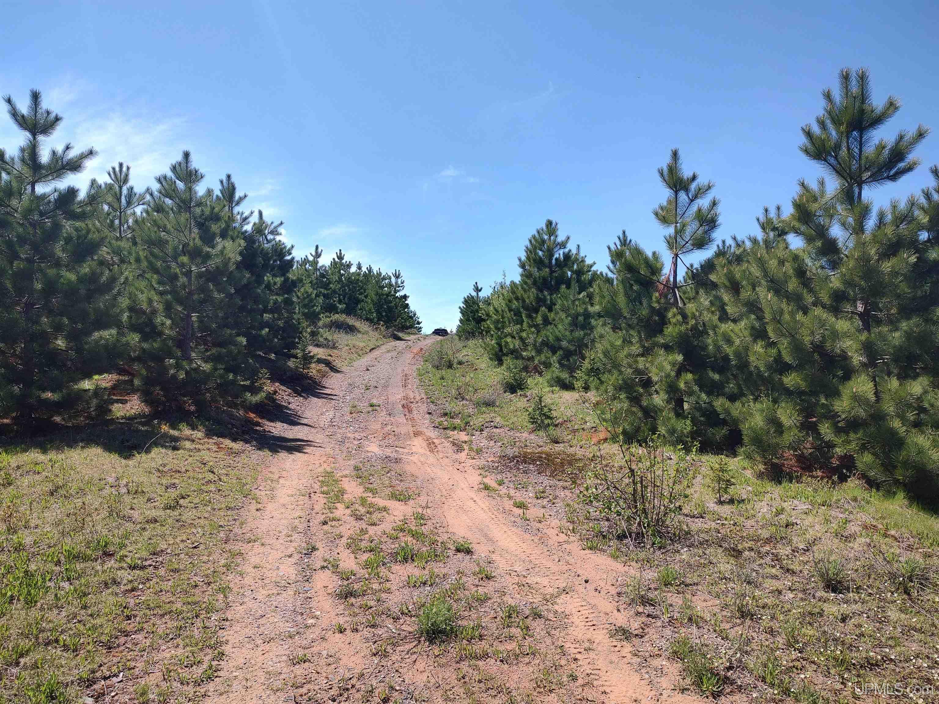 58-acres Co Rd Fn Road Champion, MI 49814 - Photo 11 of 27