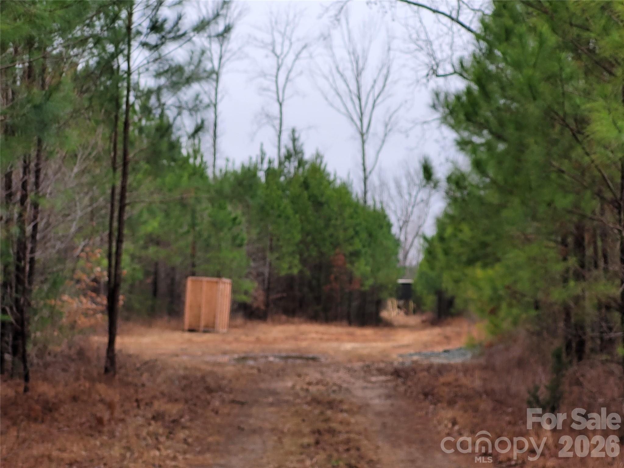 0 North Frazier Road Mebane, NC 27302 - Photo 5 of 8 a big yard with large trees