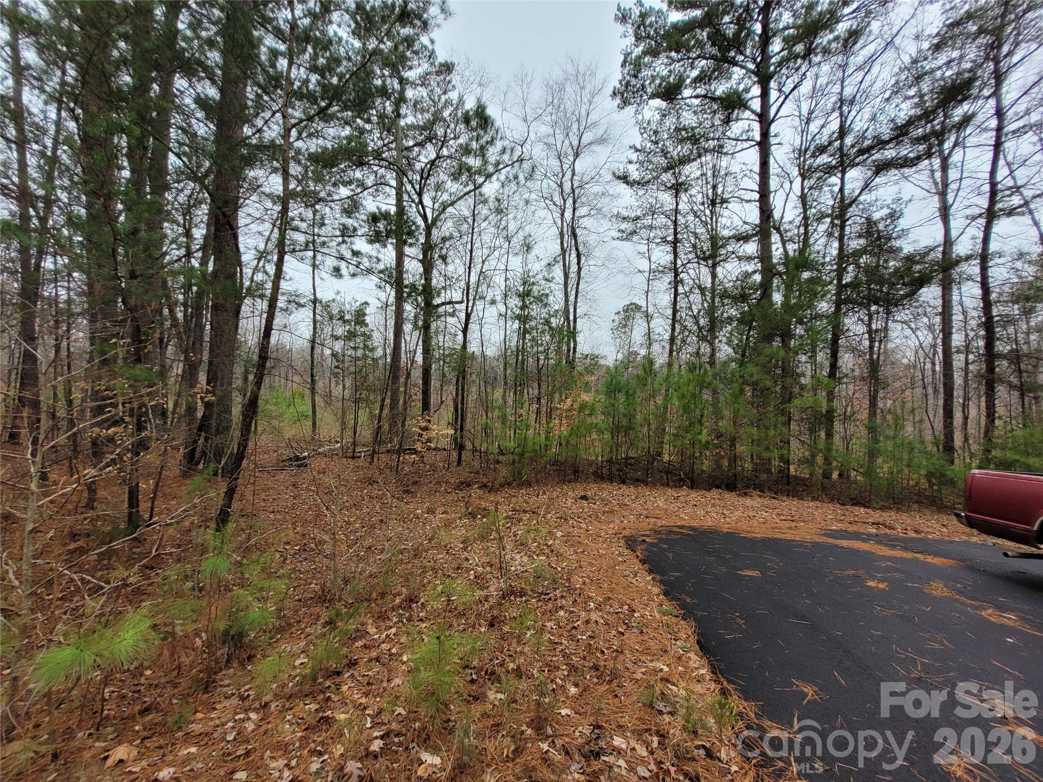 0 North Frazier Road Mebane, NC 27302 - Photo 8 of 8 a view of a yard with trees