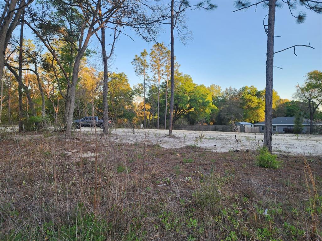 Southwest 110th Court Dunnellon, FL 34432 - Photo 1 of 9