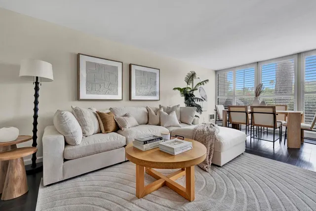 a living room with furniture potted plant and a table