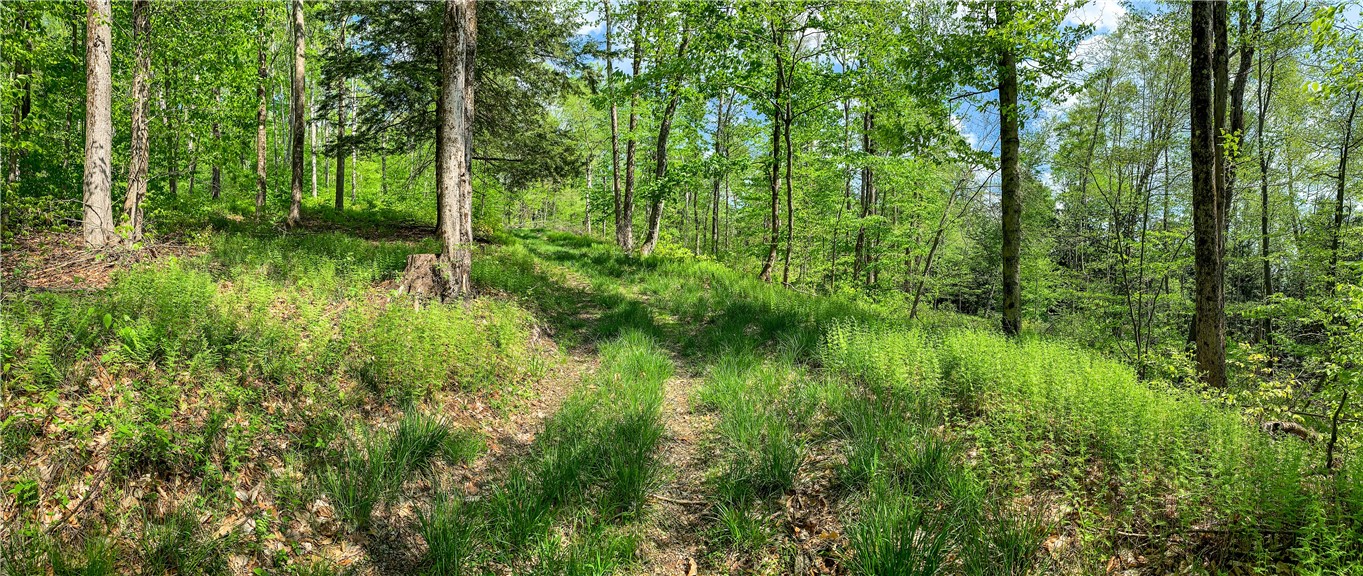 0 County Highway Franklin, NY 13775 - Photo 11 of 28