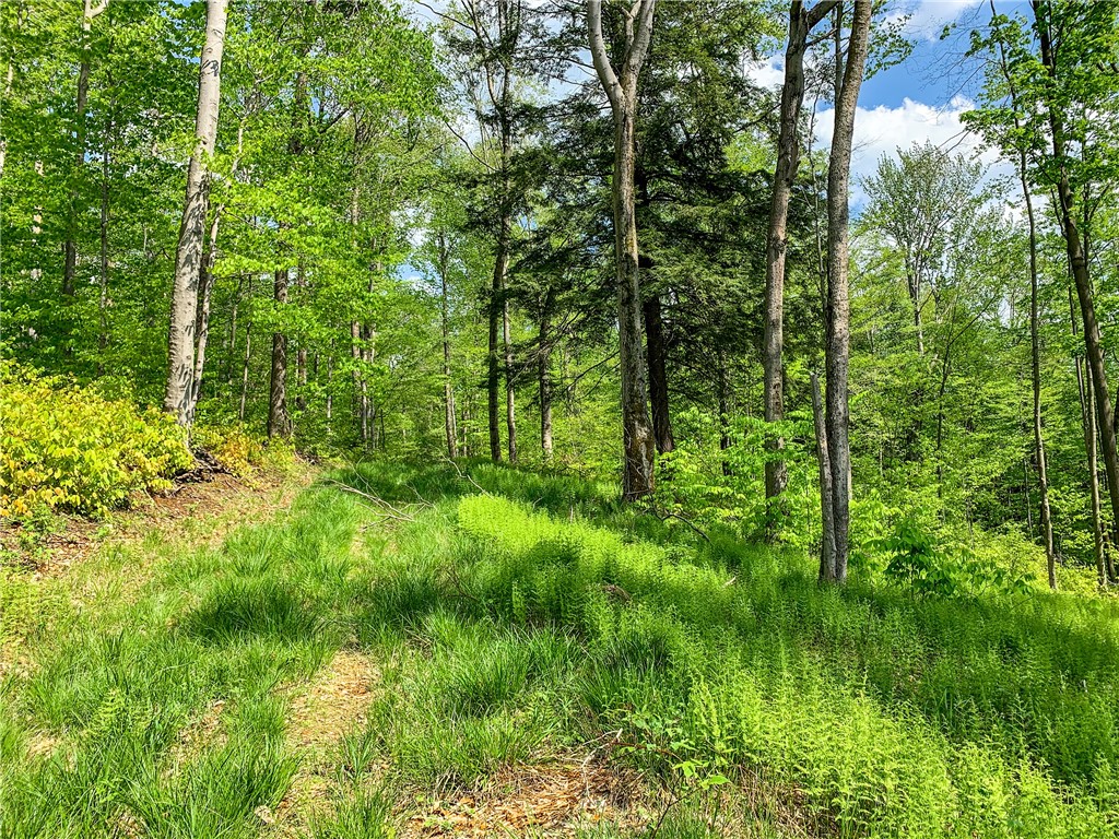0 County Highway Franklin, NY 13775 - Photo 12 of 28