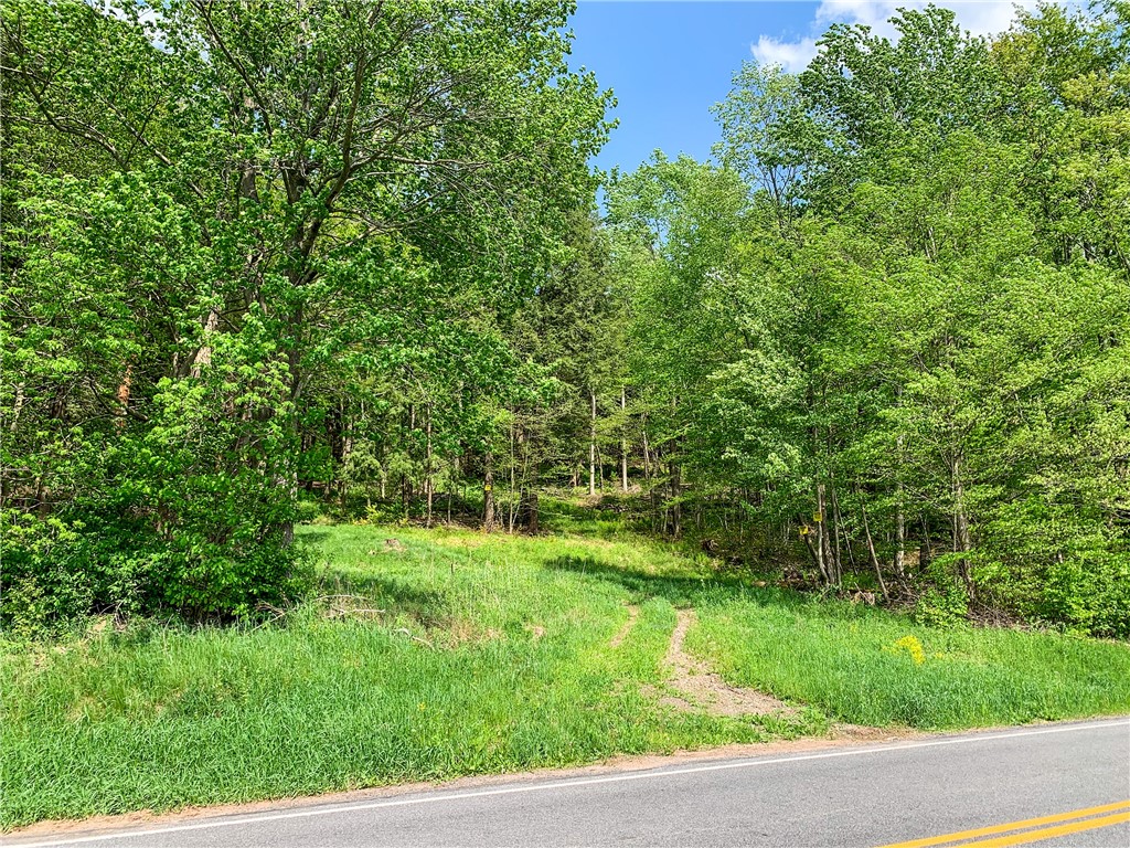 0 County Highway Franklin, NY 13775 - Photo 13 of 28