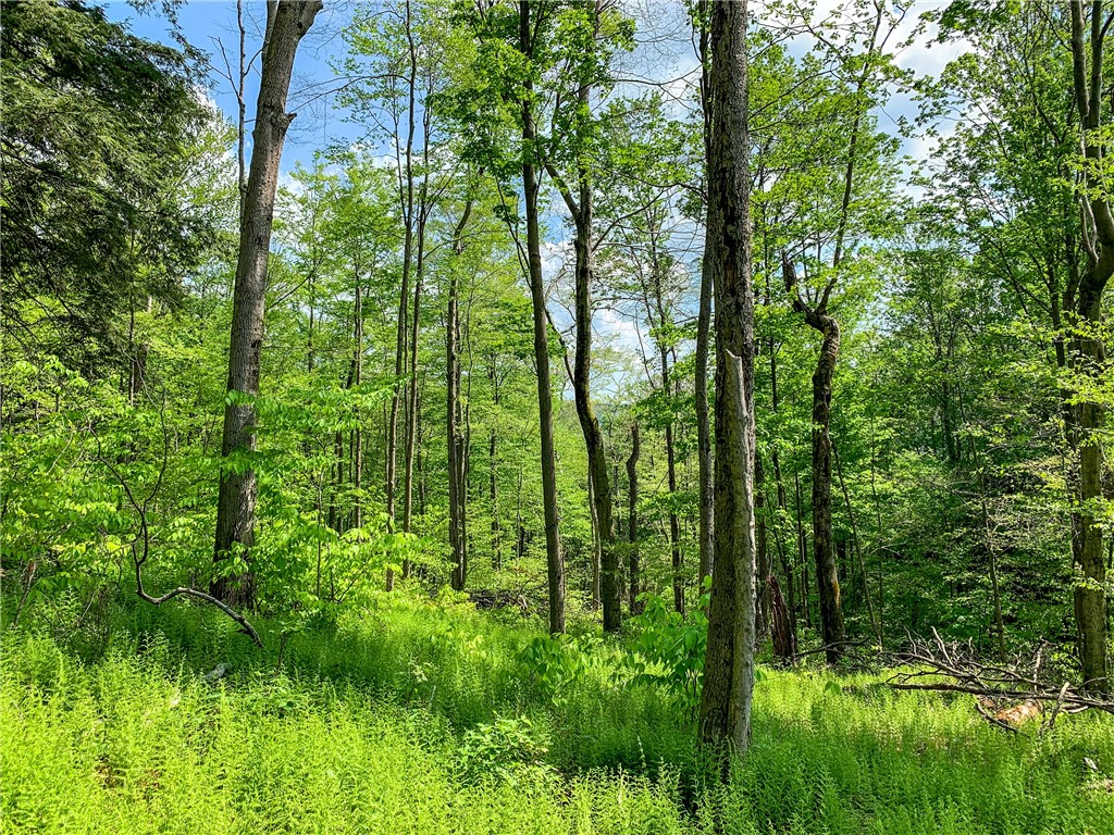 0 County Highway Franklin, NY 13775 - Photo 14 of 28