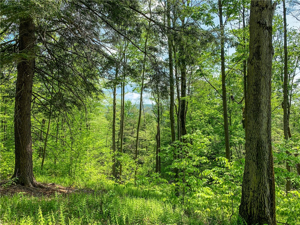 0 County Highway Franklin, NY 13775 - Photo 15 of 28