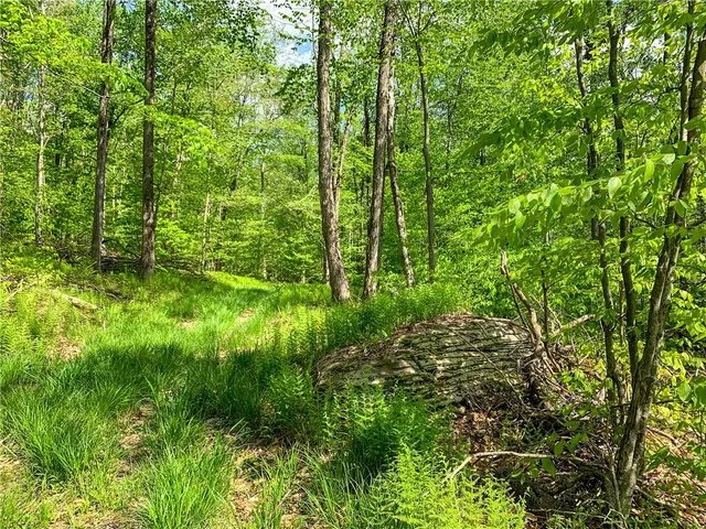 $65,000 | 0 County Highway, Franklin, NY 13775