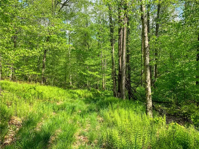 $65,000 | 0 County Highway, Franklin, NY 13775