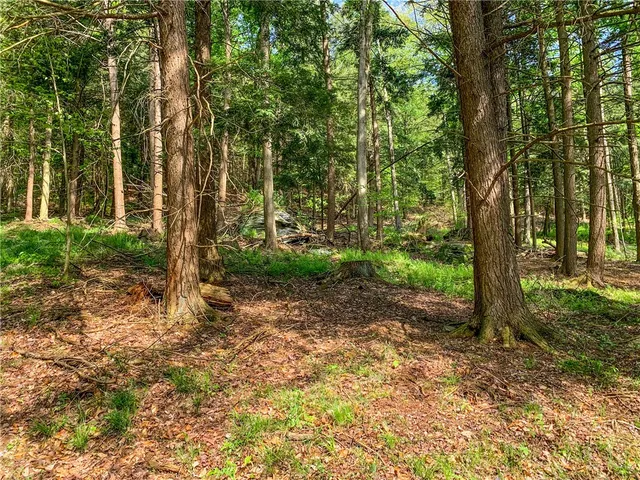 $65,000 | 0 County Highway, Franklin, NY 13775