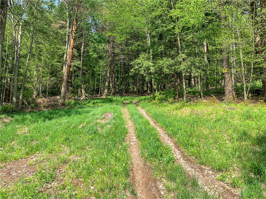 0 County Highway Franklin, NY 13775 - Photo 22 of 28