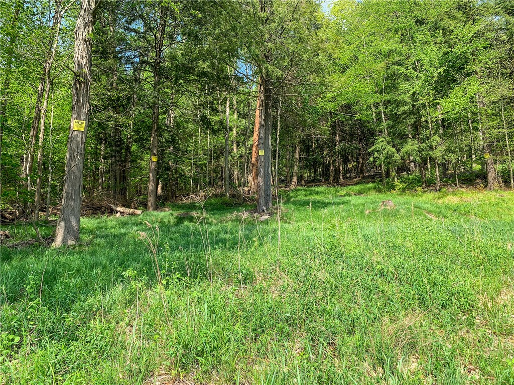 0 County Highway Franklin, NY 13775 - Photo 25 of 28