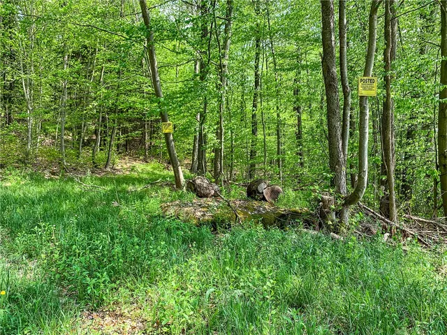 $65,000 | 0 County Highway, Franklin, NY 13775