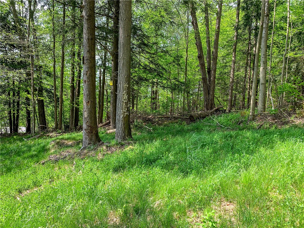 0 County Highway Franklin, NY 13775 - Photo 27 of 28