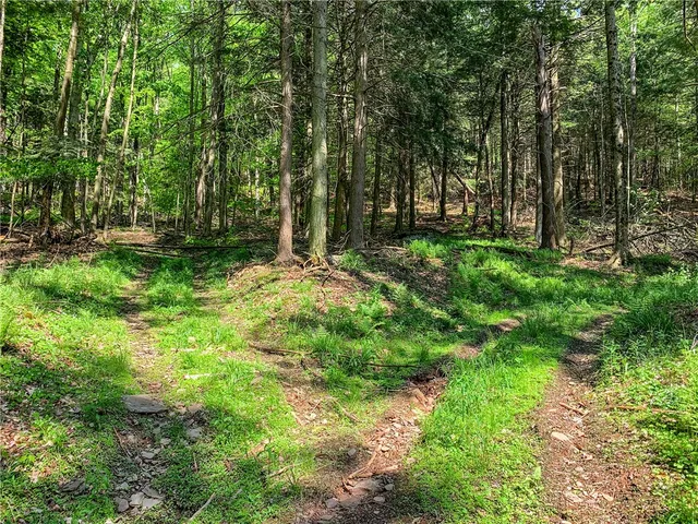 $65,000 | 0 County Highway, Franklin, NY 13775