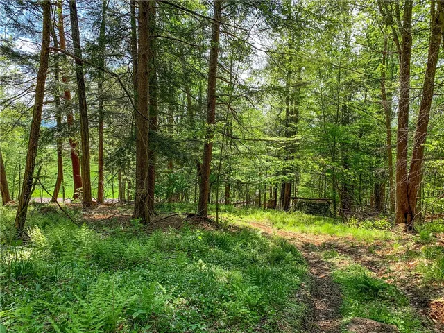 $65,000 | 0 County Highway, Franklin, NY 13775