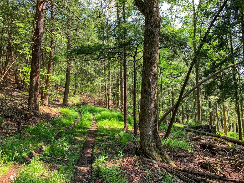 0 County Highway Franklin, NY 13775 - Photo 5 of 28