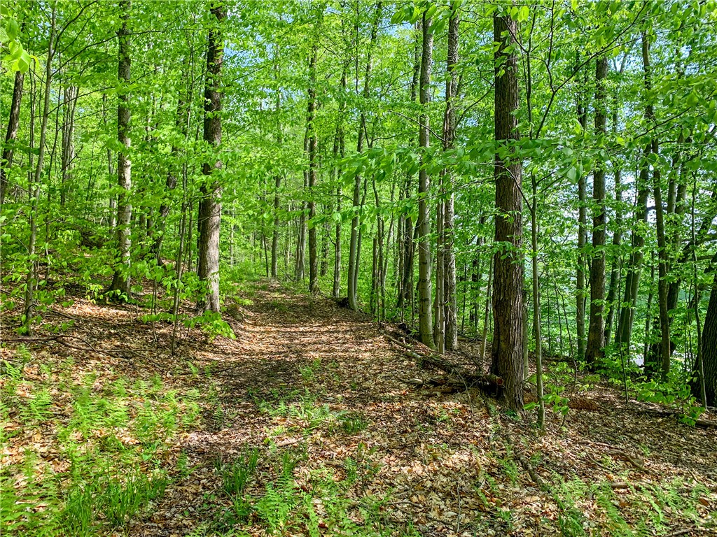 0 County Highway Franklin, NY 13775 - Photo 6 of 28