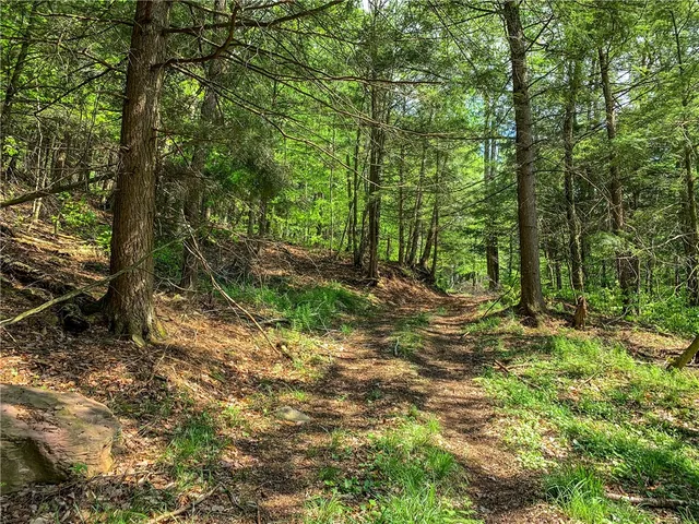 $65,000 | 0 County Highway, Franklin, NY 13775