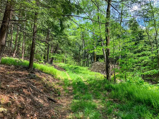 $65,000 | 0 County Highway, Franklin, NY 13775