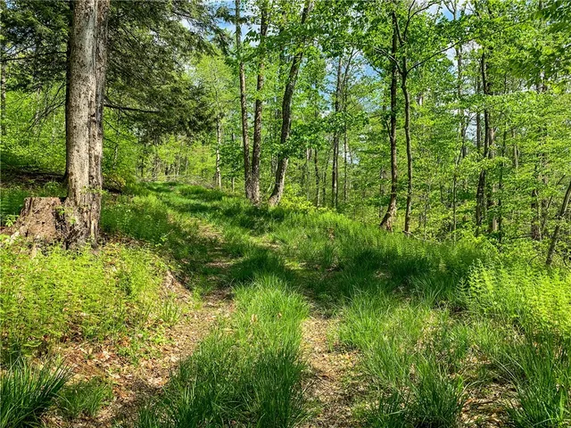 $65,000 | 0 County Highway, Franklin, NY 13775