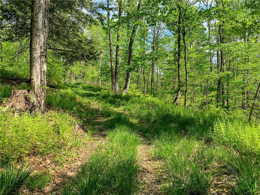 0 County Highway Franklin, NY 13775 - Photo 10 of 28