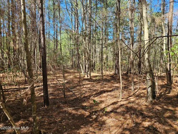 $51,750 | 57 Eagle Nest Trail, Blounts Creek, NC 27814