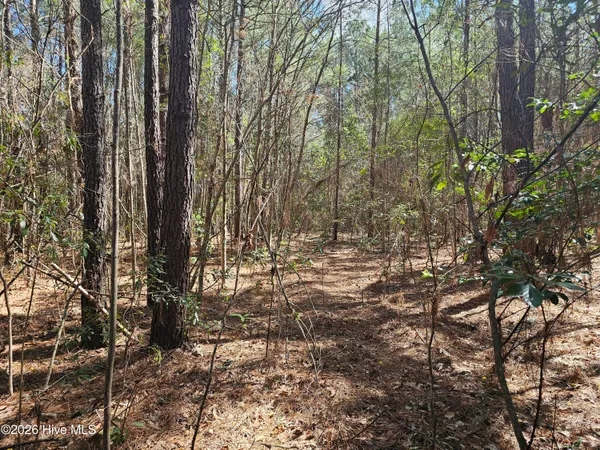 $51,750 | 57 Eagle Nest Trail, Blounts Creek, NC 27814