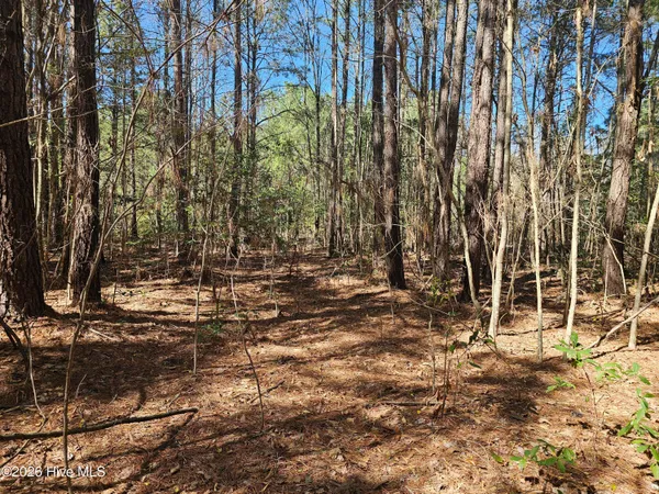 $51,750 | 57 Eagle Nest Trail, Blounts Creek, NC 27814