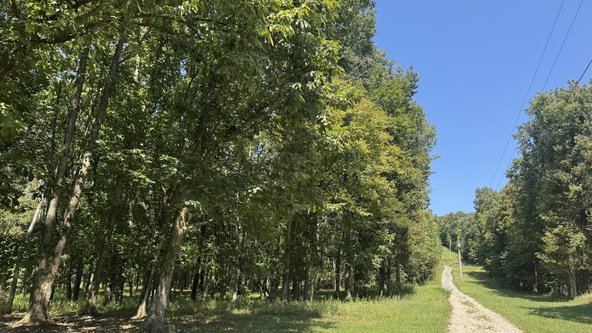 2958 Spanntown Road Arrington, TN 37014 - Photo 3 of 11 a view of a lake view