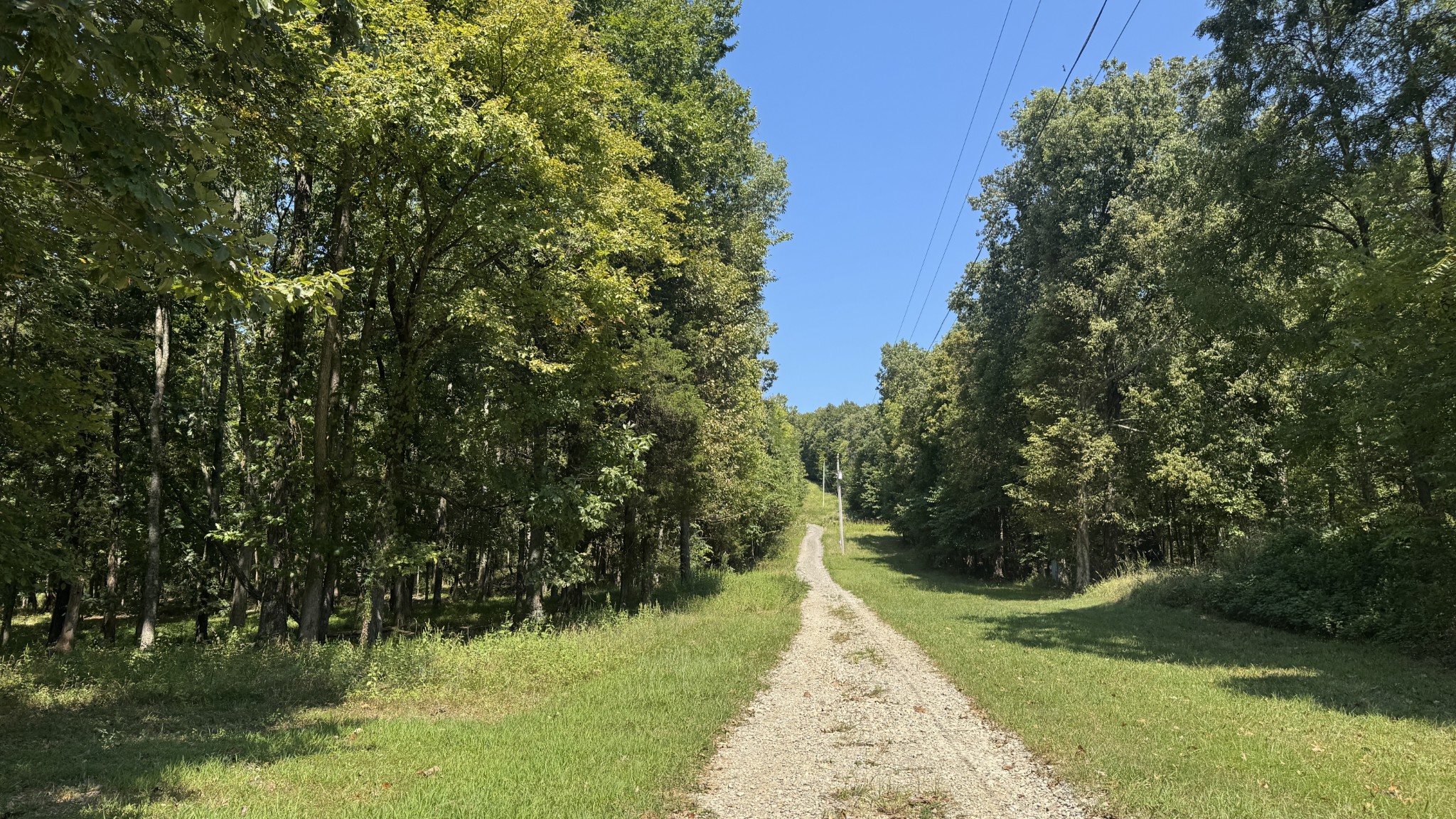 2958 Spanntown Road Arrington, TN 37014 - Photo 4 of 11 a view of a yard with plants and large trees