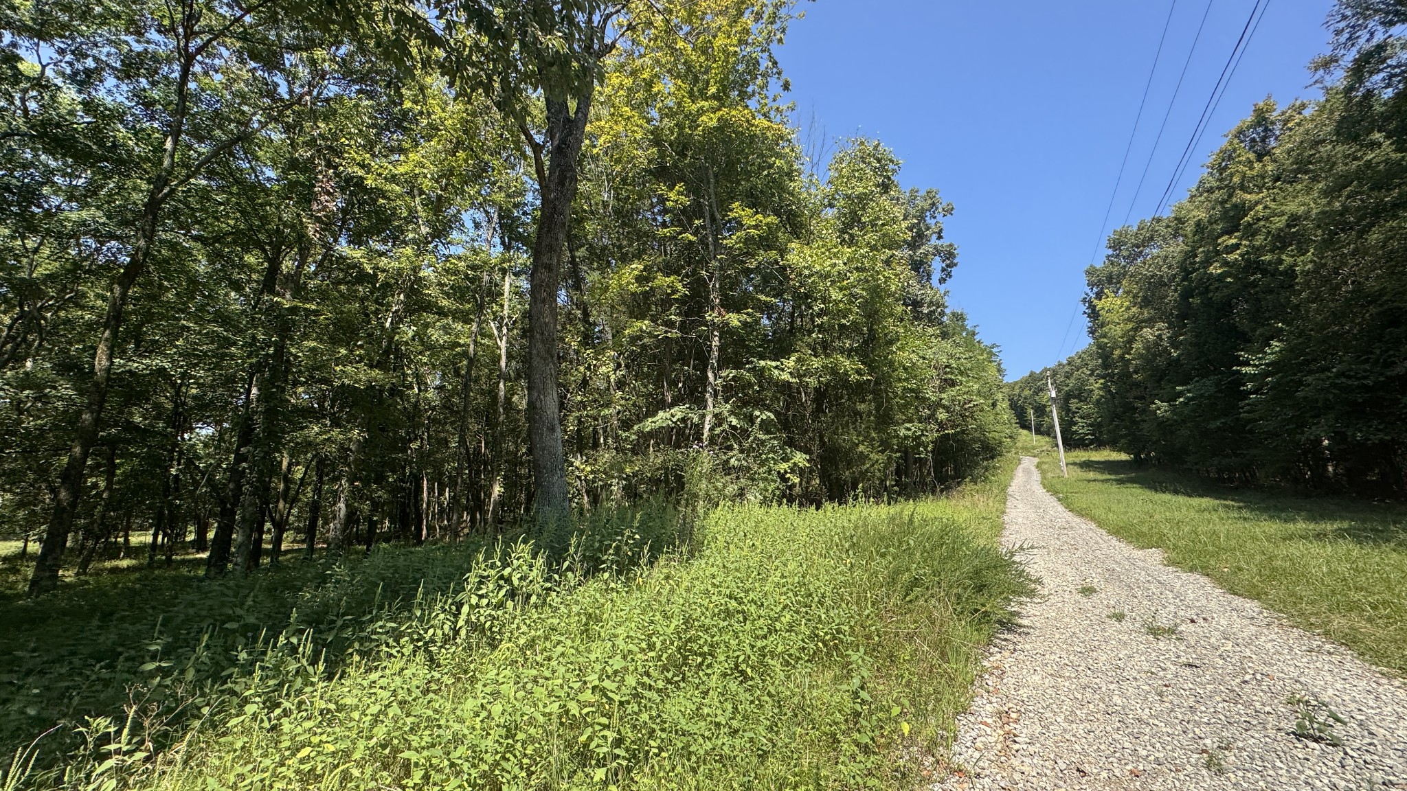2958 Spanntown Road Arrington, TN 37014 - Photo 7 of 11 a view of backyard with green space