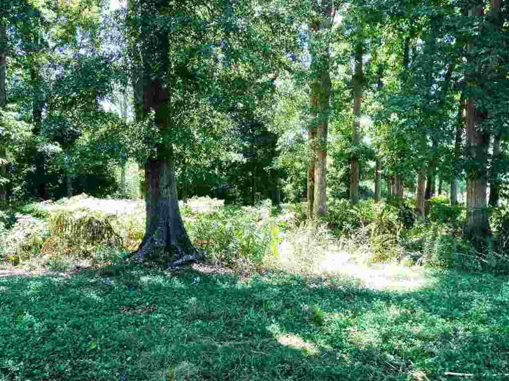 1308 East Queen Street Pendleton, SC 29670 - Photo 11 of 14 Gallery Image 11