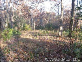 100 Alexander Road Alexander, NC 28701 - Photo 2 of 6 Gallery Image 2