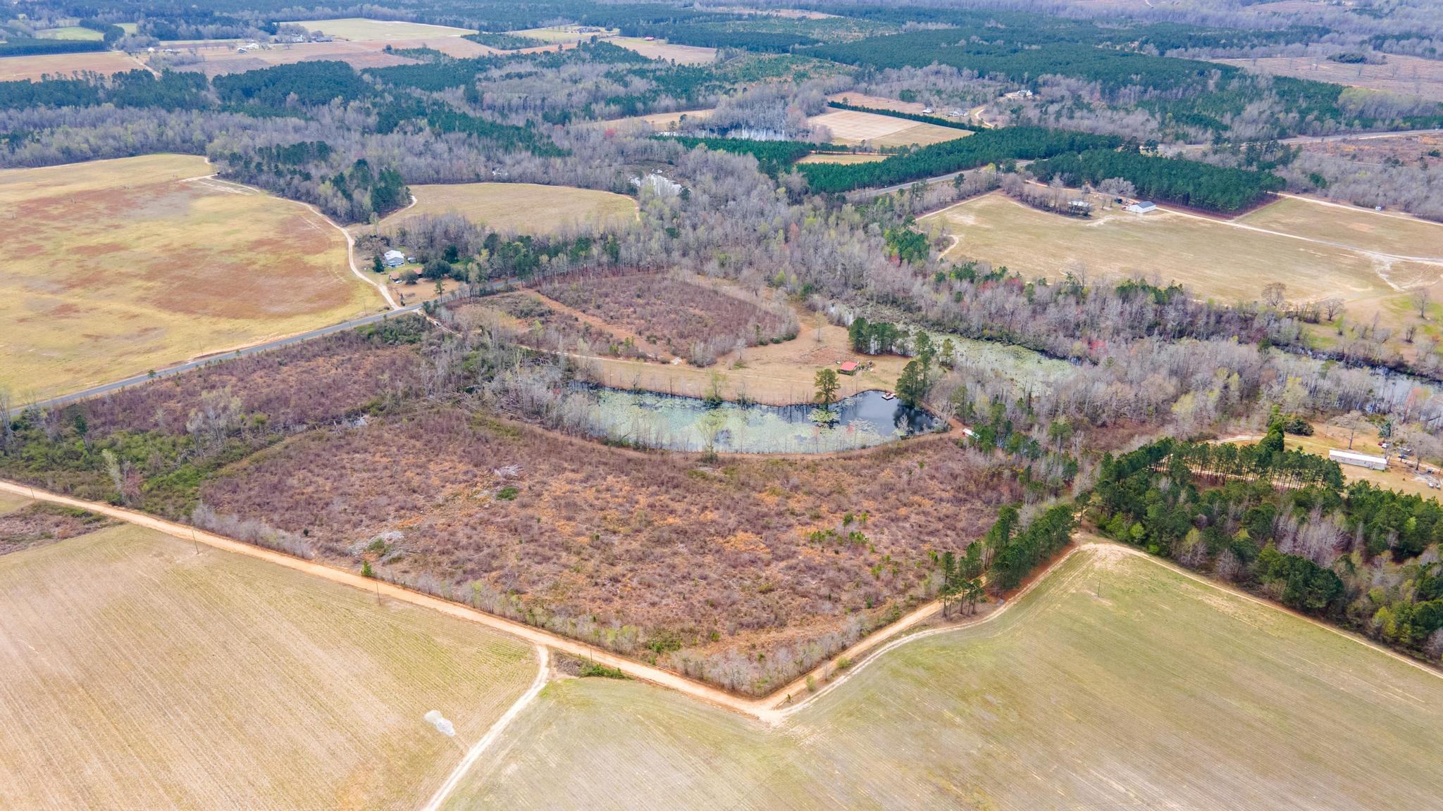 1420 Baltic Road Blackville, SC 29817 - Photo 16 of 22