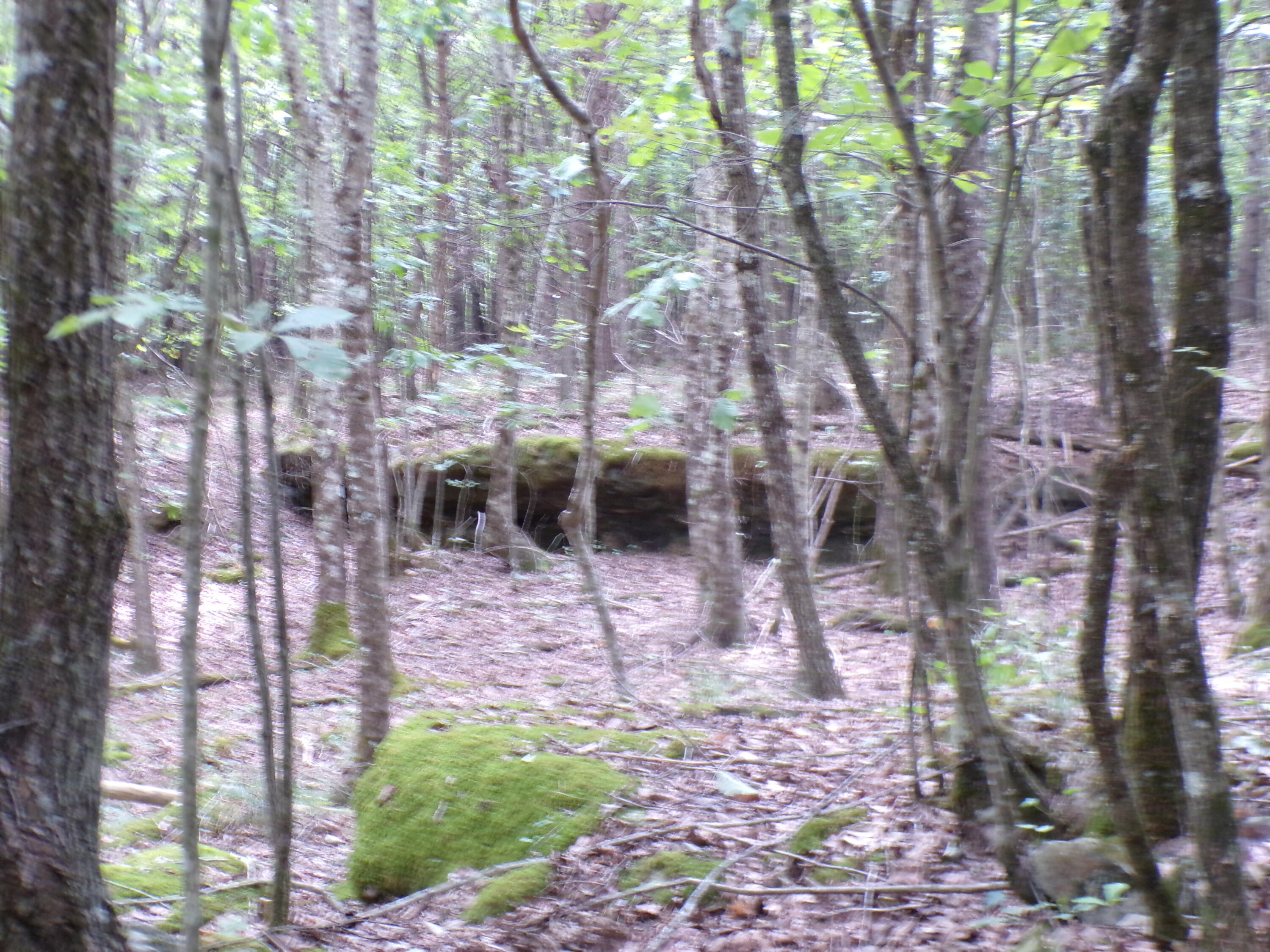 0 Goforth Road, Unit 5/6 Spencer, TN 38585 - Photo 14 of 56 100_0370