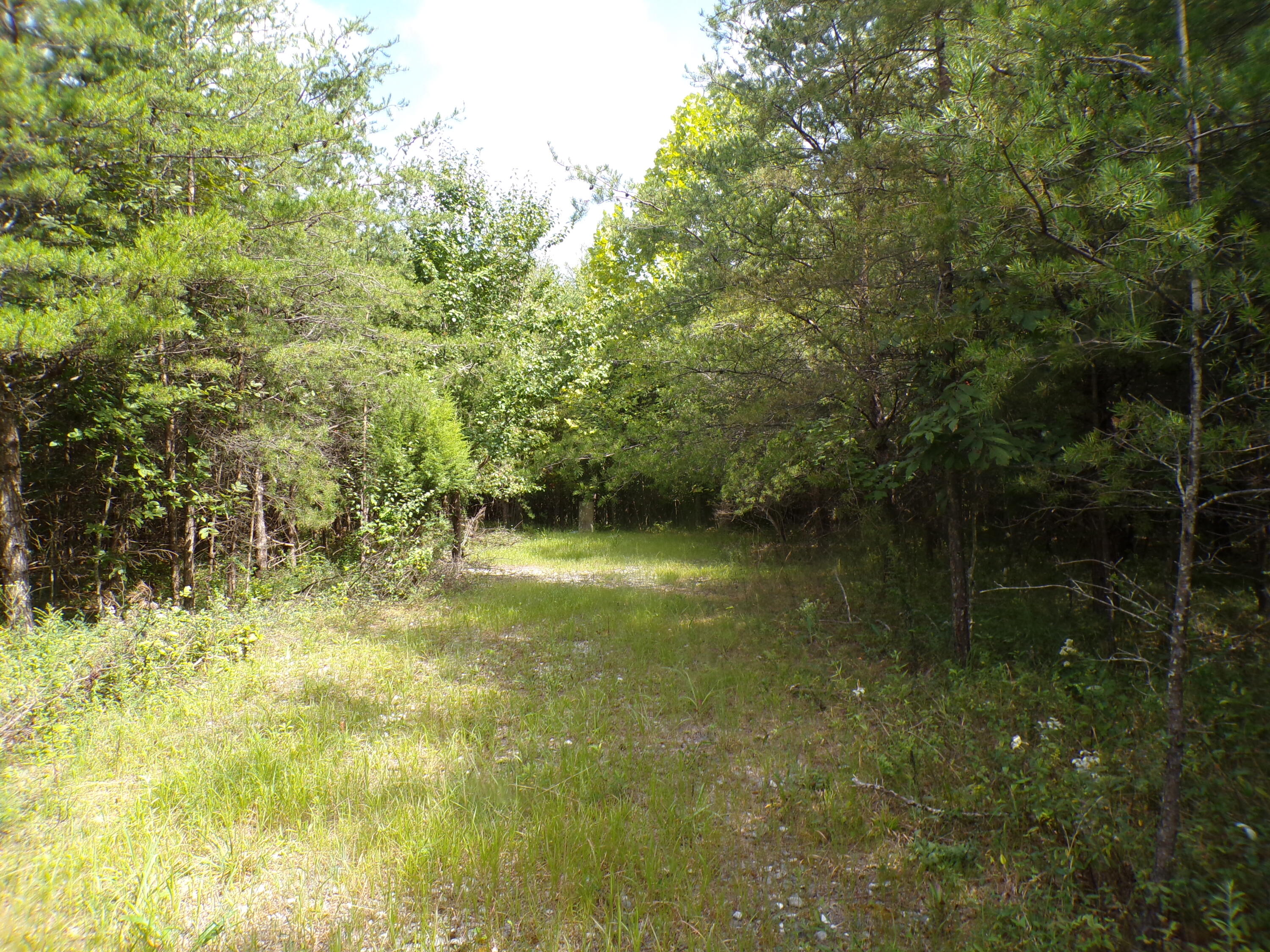 0 Goforth Road, Unit 5/6 Spencer, TN 38585 - Photo 2 of 56 100_0359