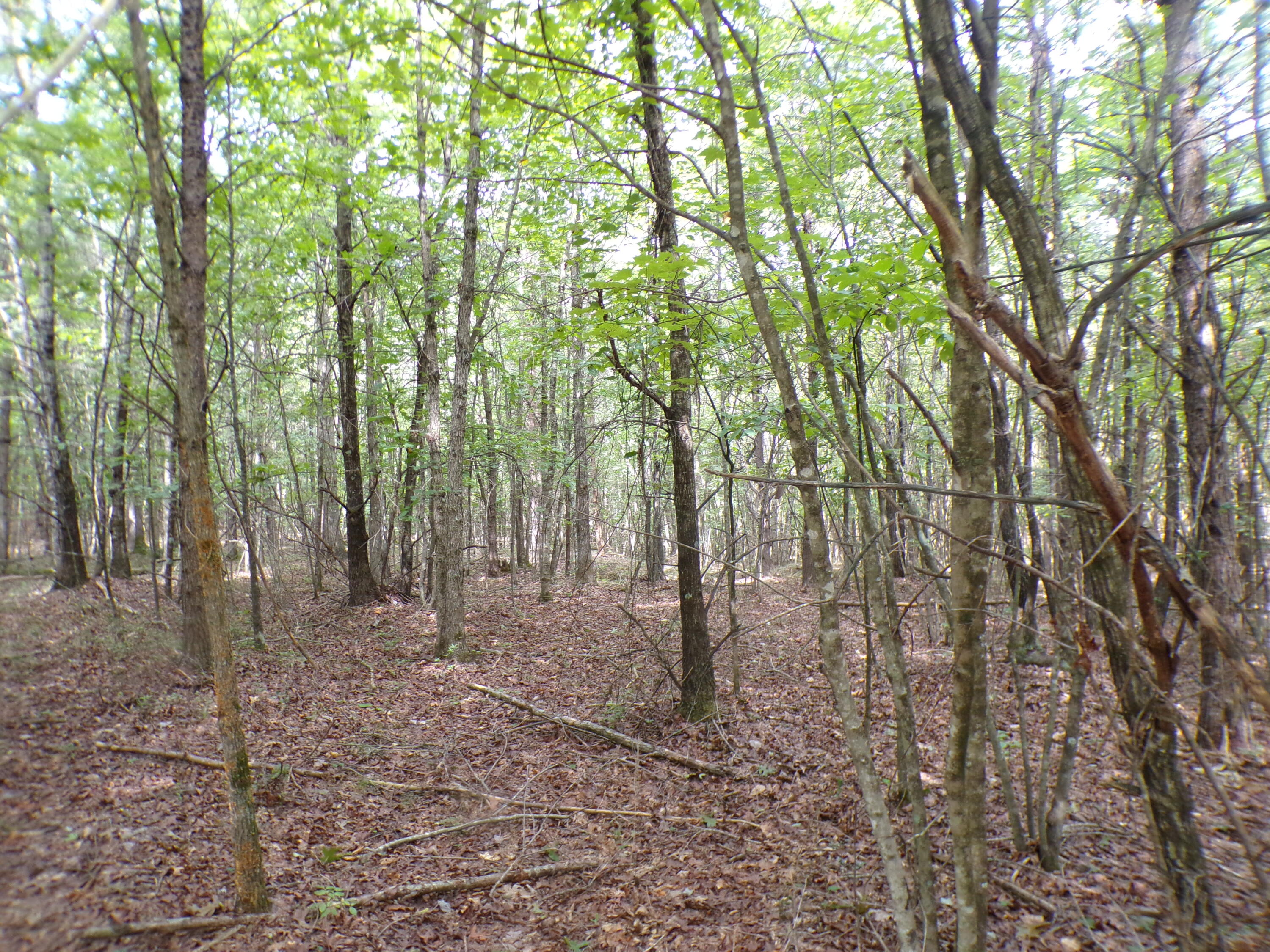 0 Goforth Road, Unit 5/6 Spencer, TN 38585 - Photo 24 of 56 100_0380