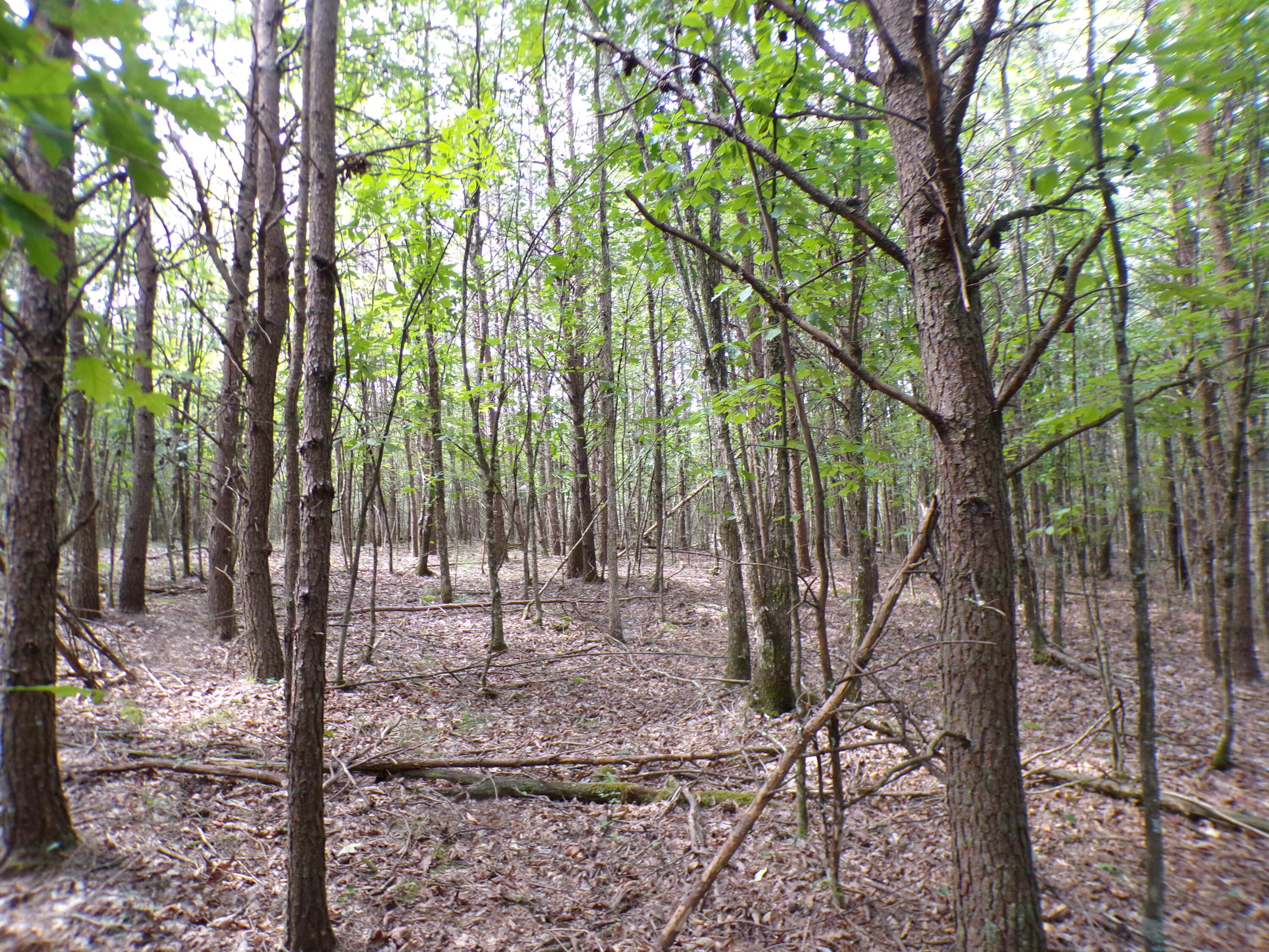 0 Goforth Road, Unit 5/6 Spencer, TN 38585 - Photo 36 of 56 100_0392