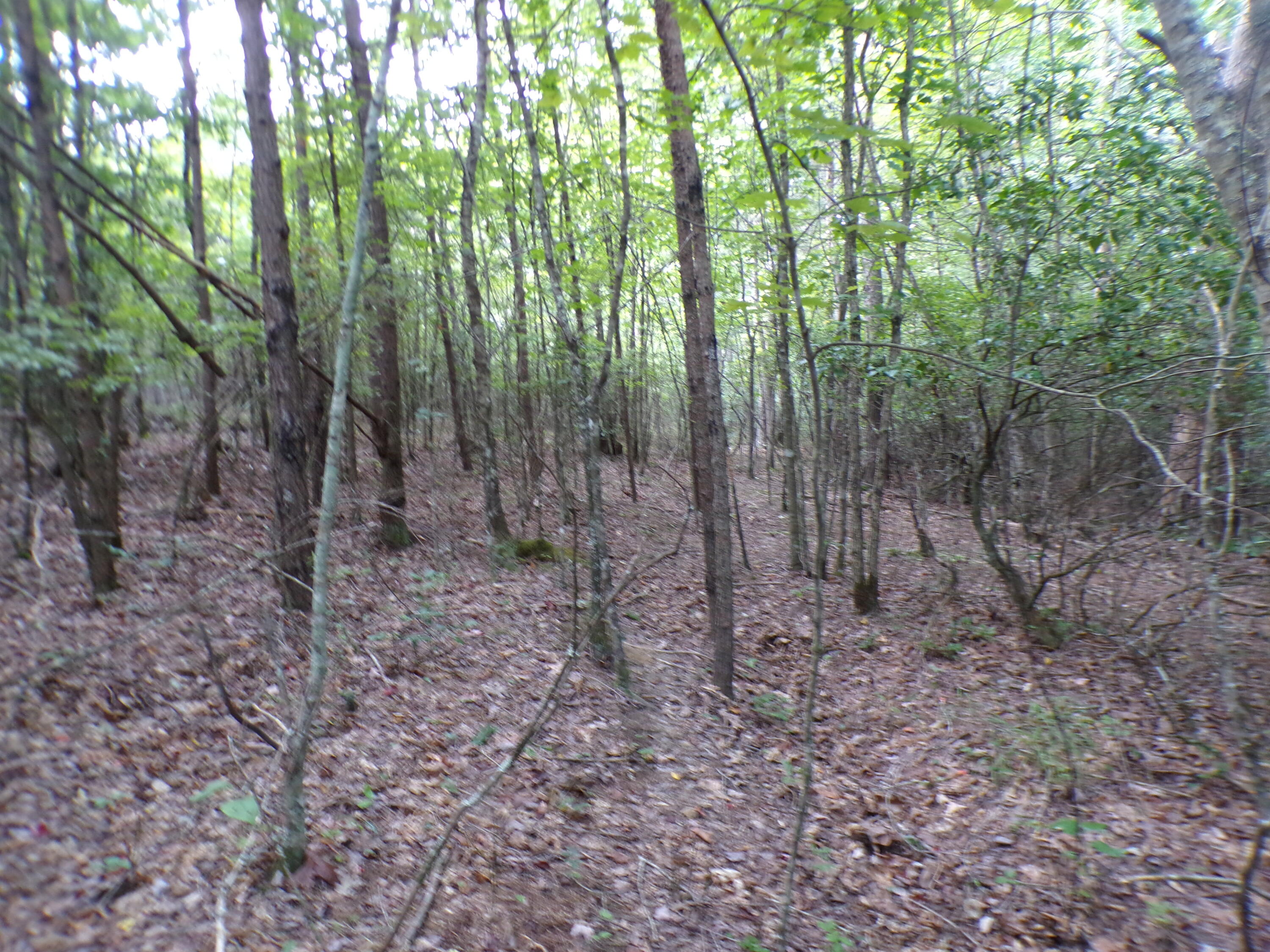 0 Goforth Road, Unit 5/6 Spencer, TN 38585 - Photo 41 of 56 100_0397
