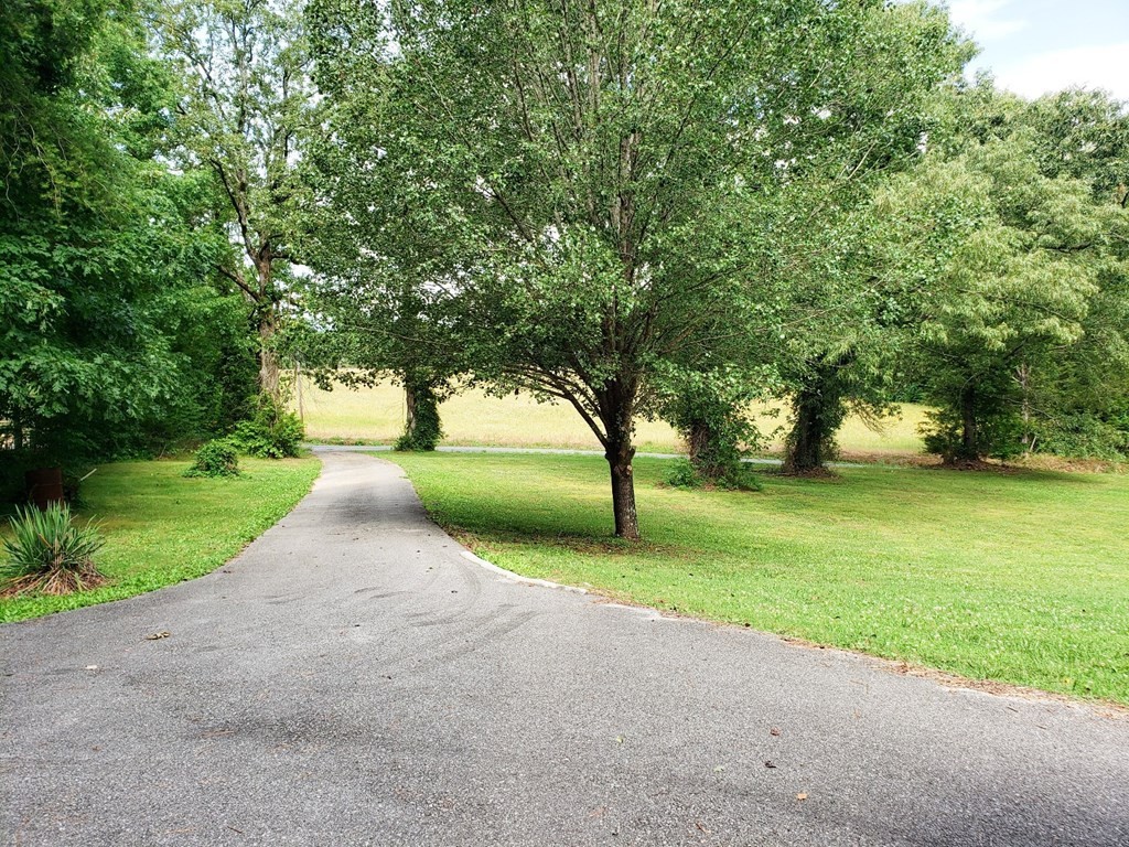 3200 Wasson Road Ten Mile, TN 37880 - Photo 4 of 29 Gallery Image 4