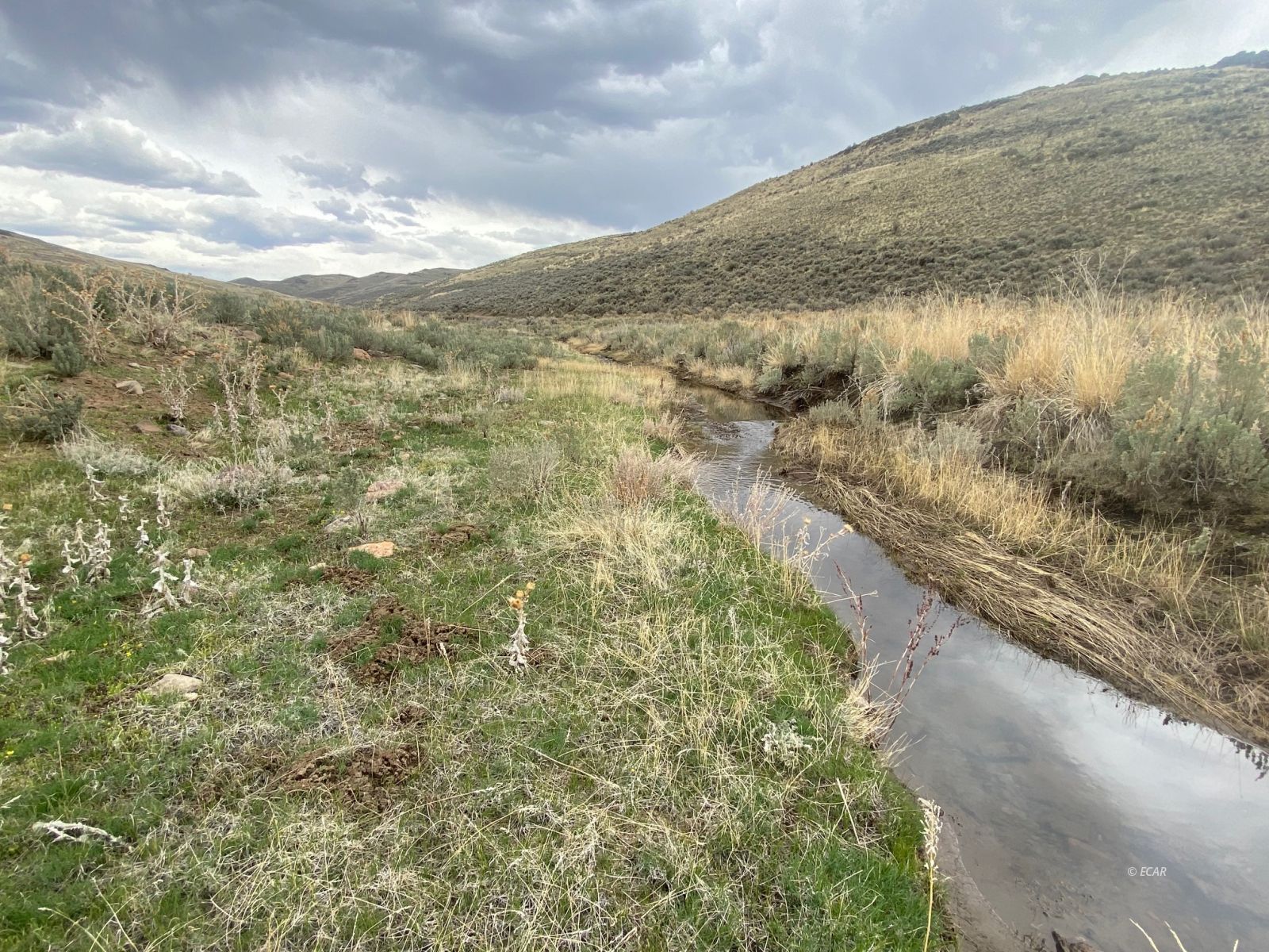 80-acres Charleston Road Deeth, NV 89823 - Photo 8 of 47