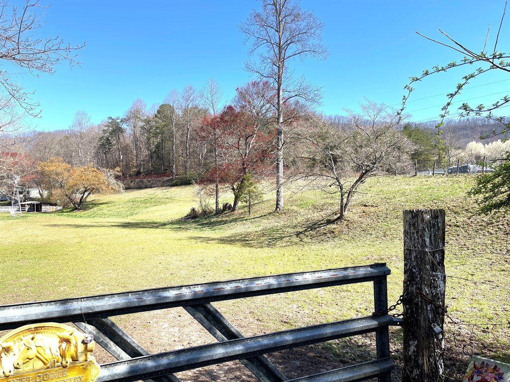 153 Rocking Chair Trail Hayesville, NC 28904 - Photo 35 of 49 Gallery Image 35