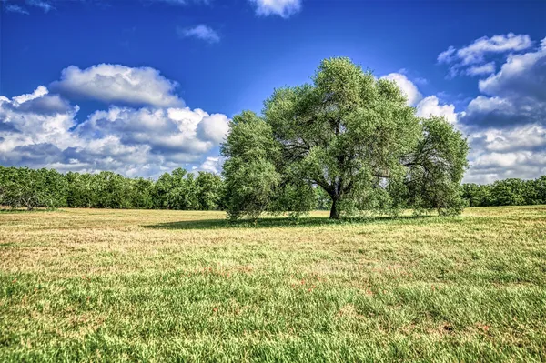 $4,350,000 | 11532 County Road 408, Somerville, TX 77879
