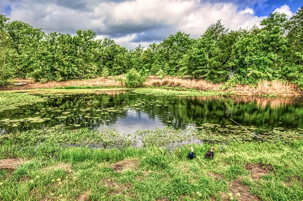 $4,350,000 | 11532 County Road 408, Somerville, TX 77879