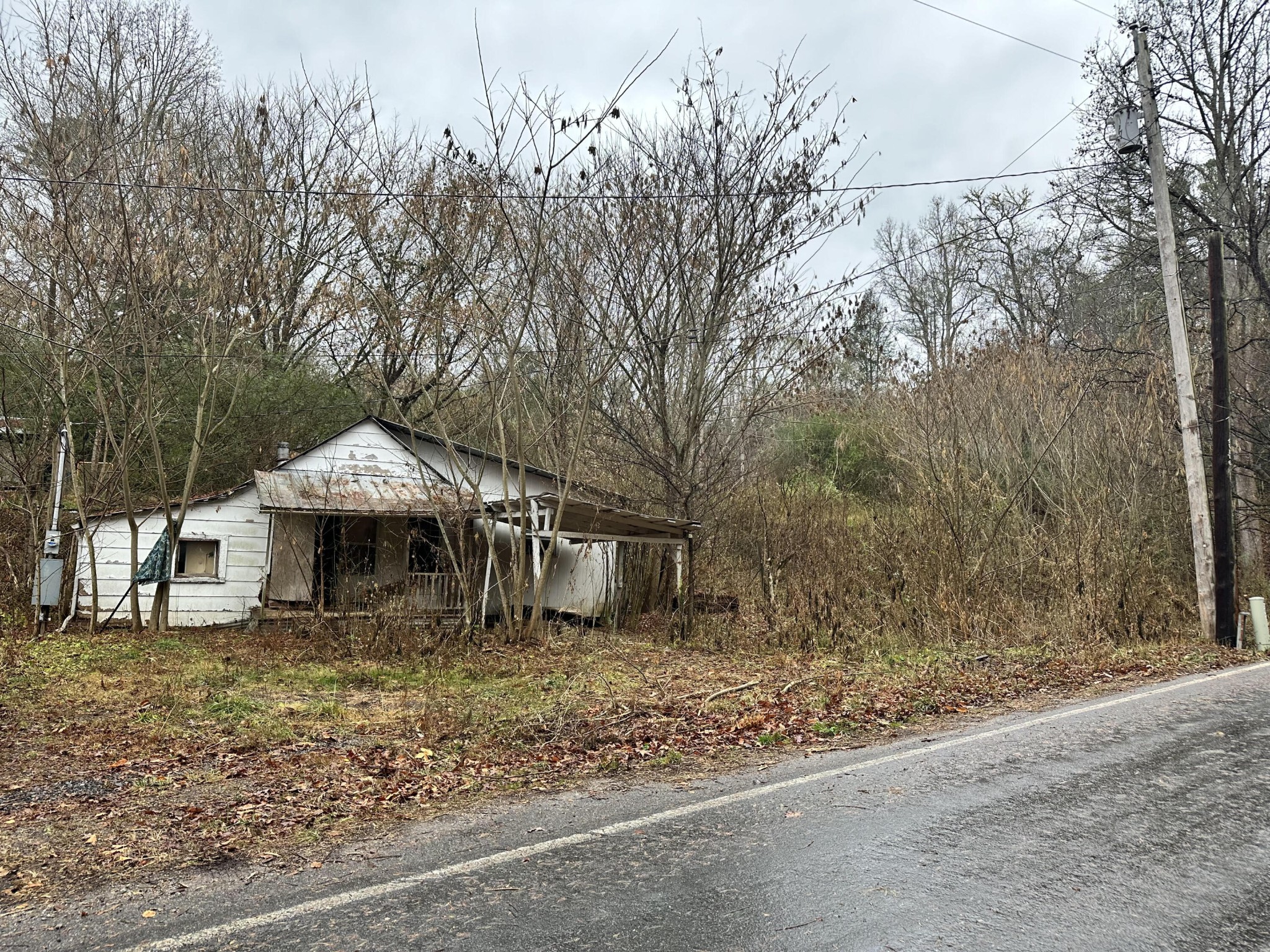 1795 Tellico Reliance Road Reliance, TN 37369 - Photo 1 of 4 a view of a house with a yard and large trees