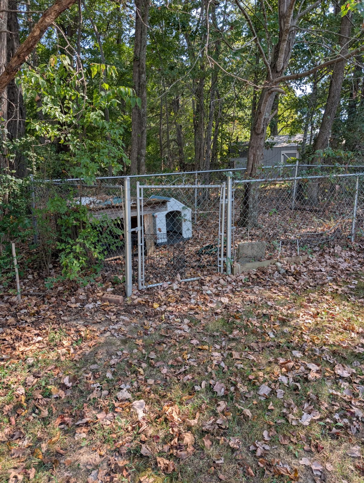 119 Silver Leaf Circle Dickson, TN 37055 - Photo 12 of 14 a backyard of a house with lots of green space