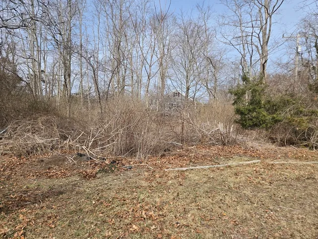 a view of a yard with trees