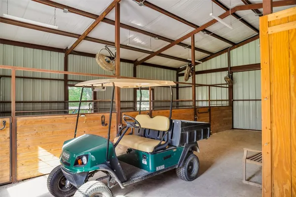 a room with furniture and a potted plant