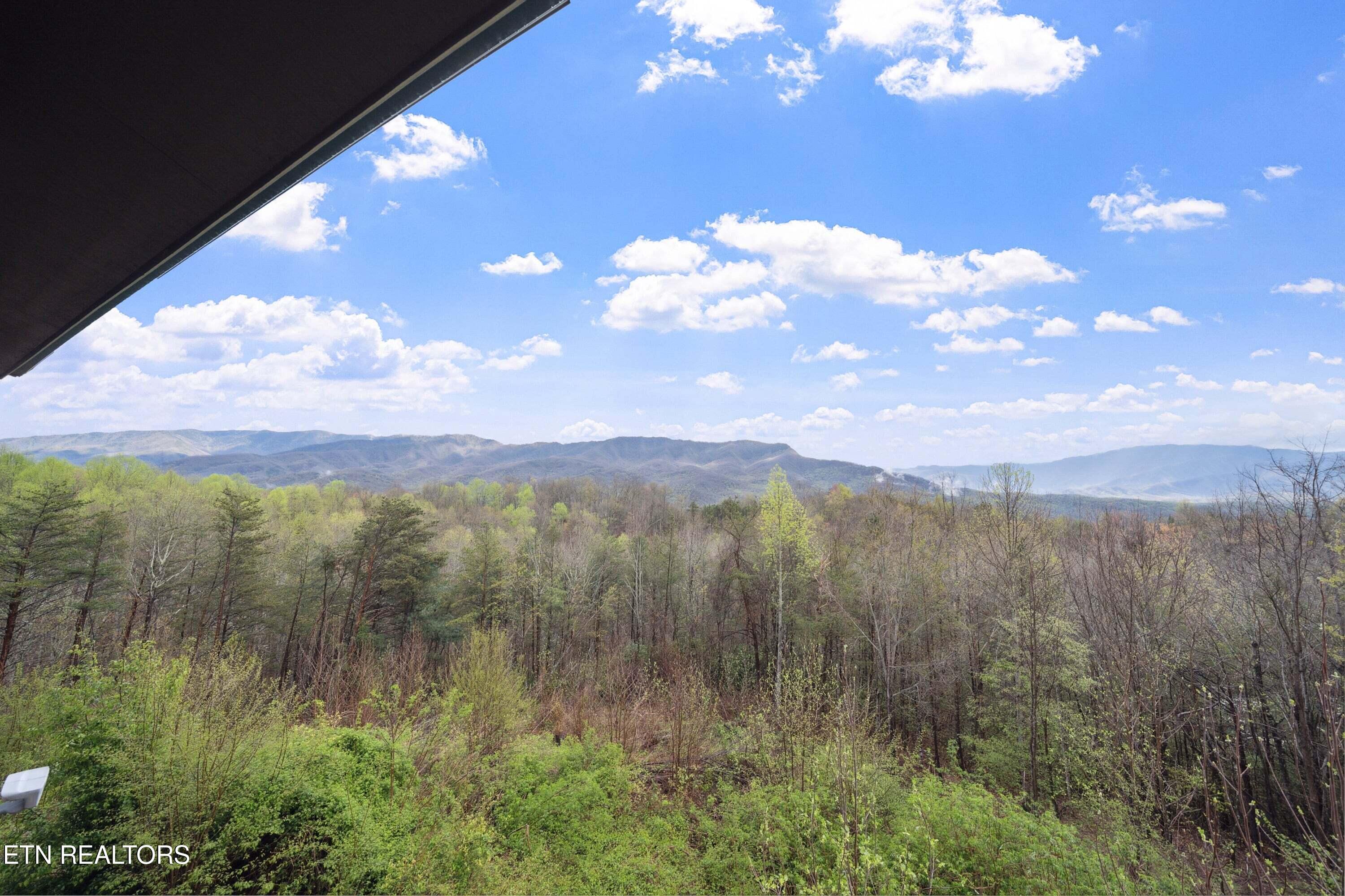 510 Wildflower Ridge Road Gatlinburg, TN 37738 - Photo 54 of 60 510-Wild-Flower-51