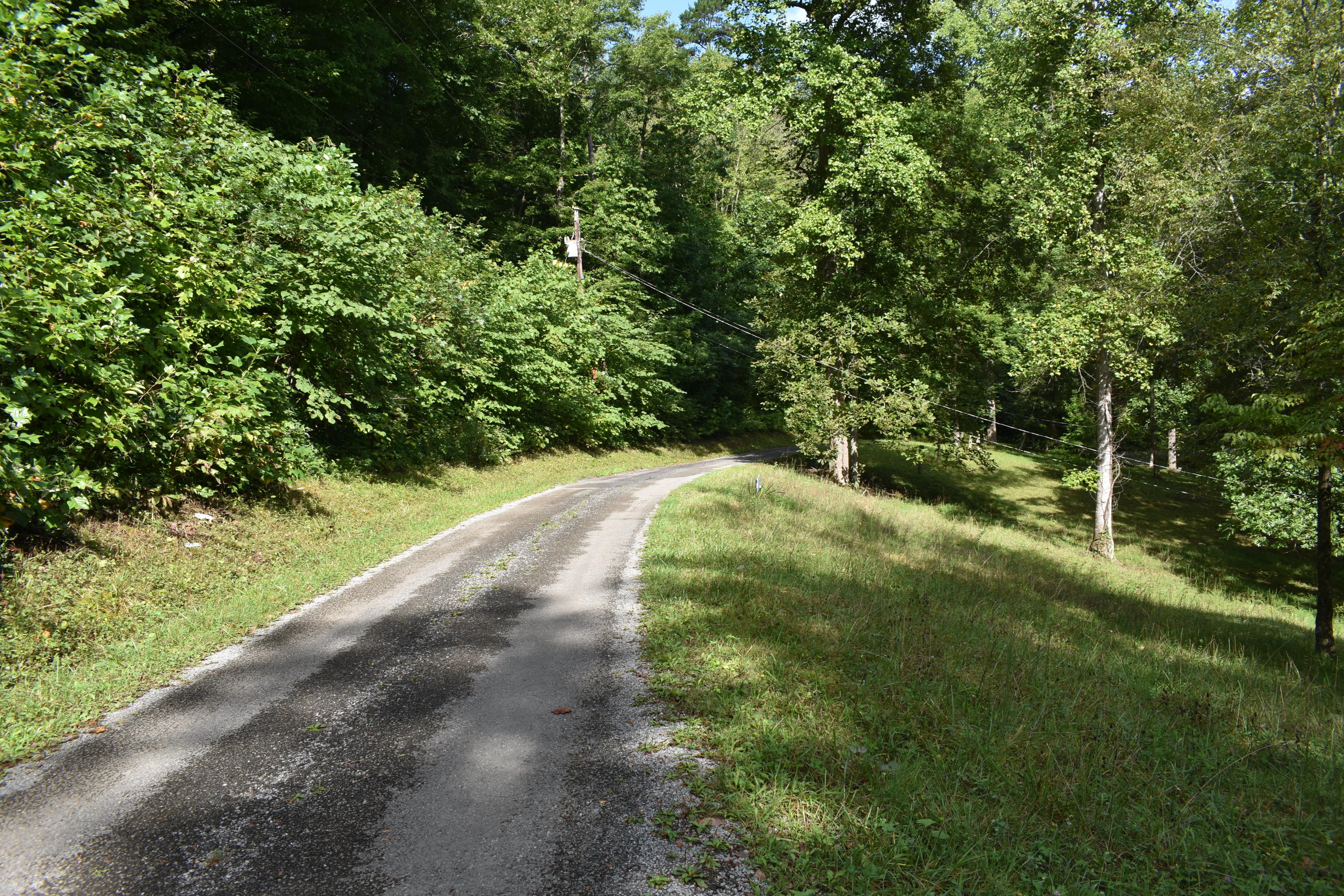 245 Blue Ridge Road Speedwell, TN 37870 - Photo 15 of 28 DSC_0025